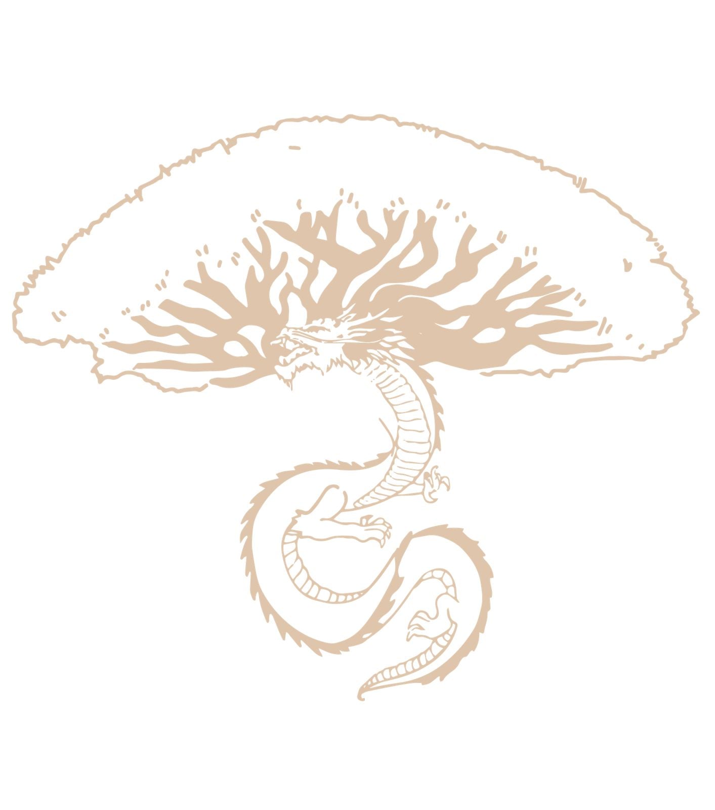Dragons Blood